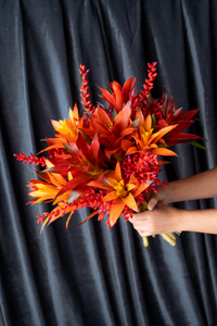 Carmine Bromeliad Bouquet