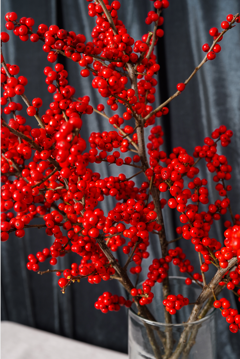 Ilex Berry Branches XL