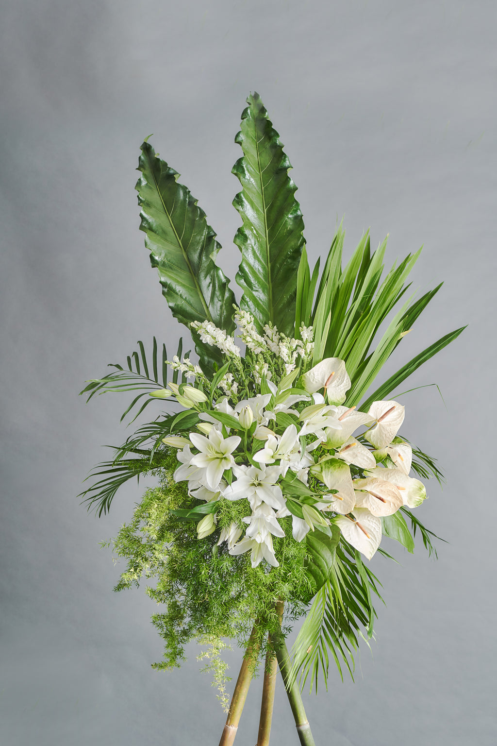 Eternity (Bamboo) - Spruce Florals & Events