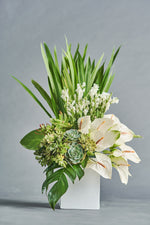 Load image into Gallery viewer, Salva - Spruce Florals &amp; Events
