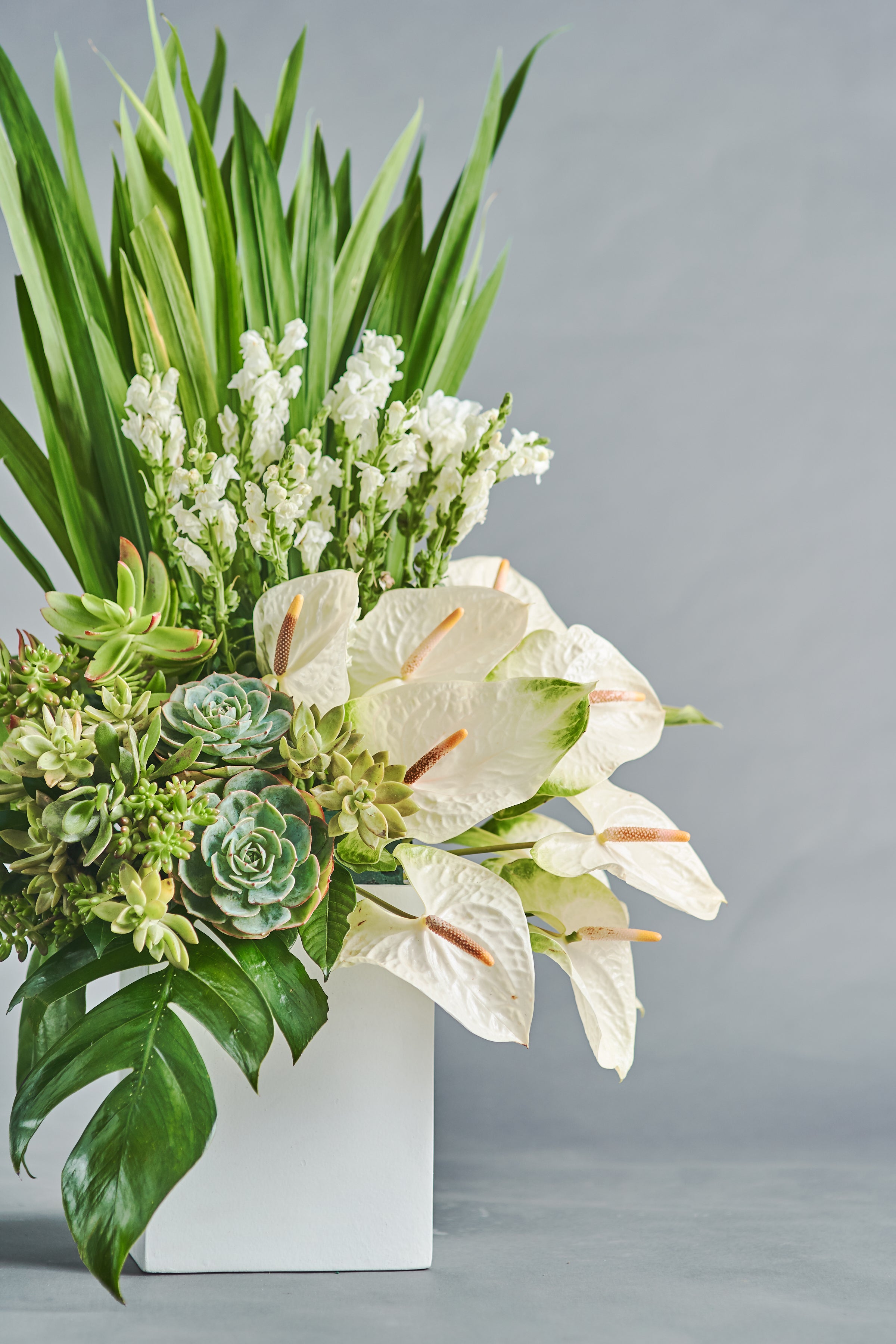 Salva - Spruce Florals & Events