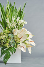 Load image into Gallery viewer, Salva - Spruce Florals &amp; Events
