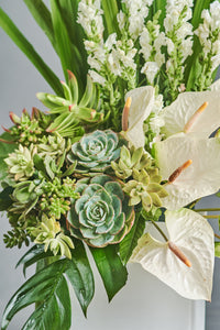Salva - Spruce Florals & Events