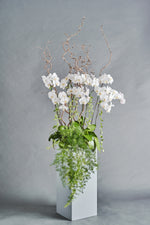 Load image into Gallery viewer, Arcadia - Spruce Florals &amp; Events
