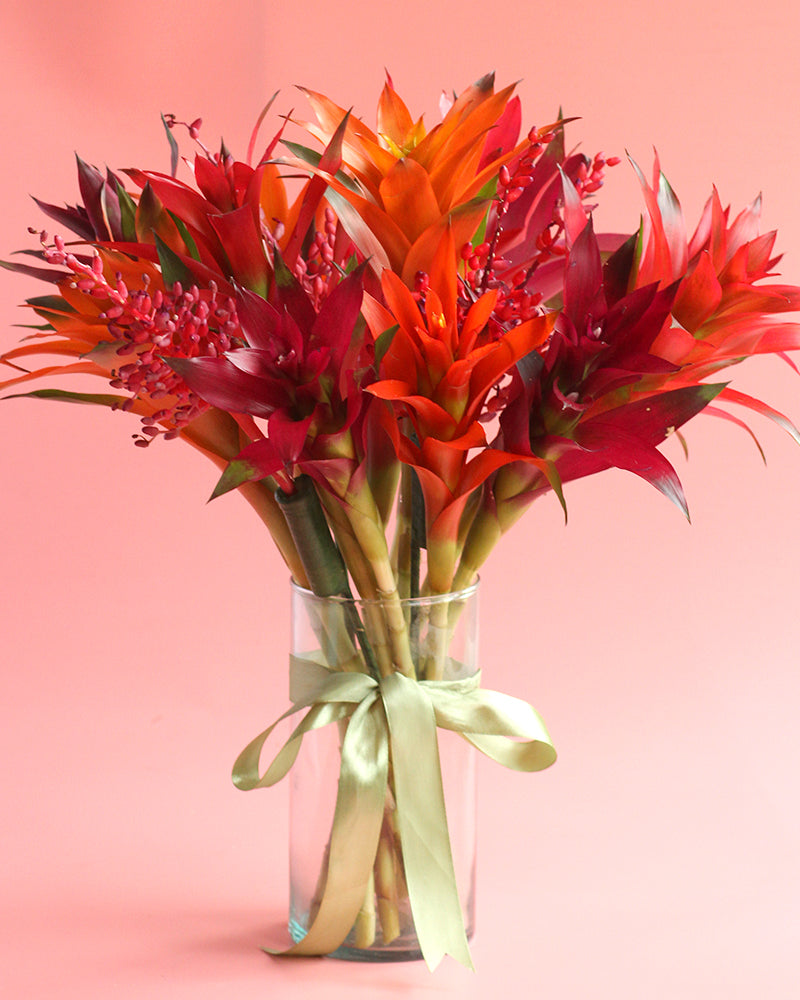 Holiday Bromeliad Bouquet