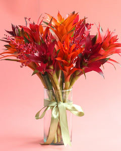 Carmine Bromeliad Bouquet