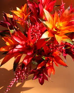 Load image into Gallery viewer, Holiday Bromeliad Bouquet
