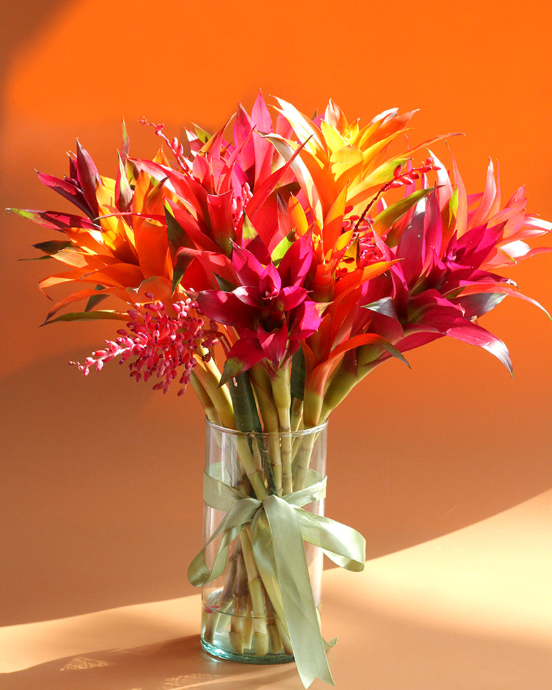 Carmine Bromeliad Bouquet