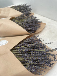 Dried Lavender Bunch